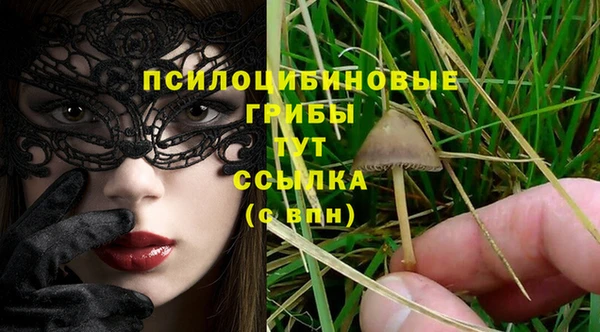 каннабис Баксан