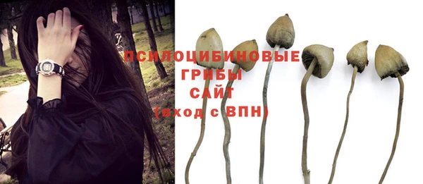 каннабис Баксан