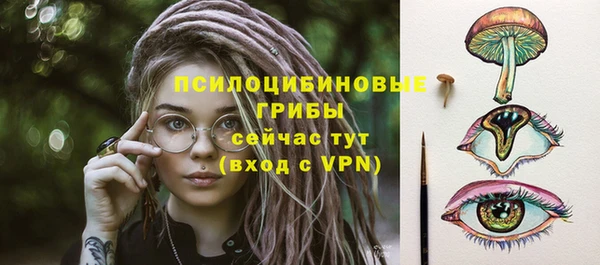 сатива Балабаново
