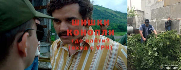 сатива Балабаново