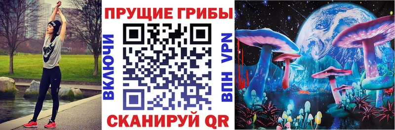 Псилоцибиновые грибы прущие грибы  KRAKEN зеркало  Тайга 