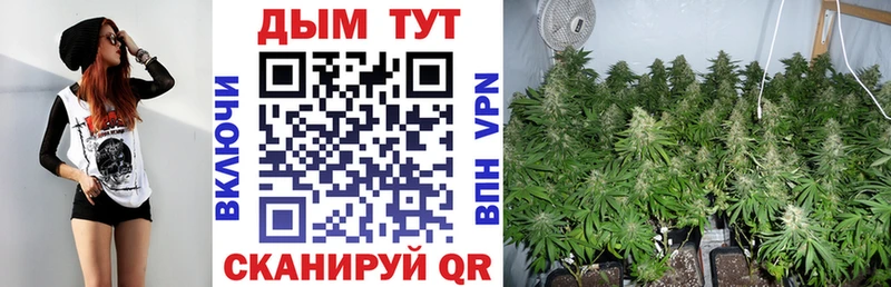 блэк спрут как зайти  Тайга  Бошки Шишки сатива 